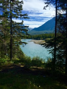 Trail views in Canmore