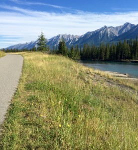 Trail in Canmore
